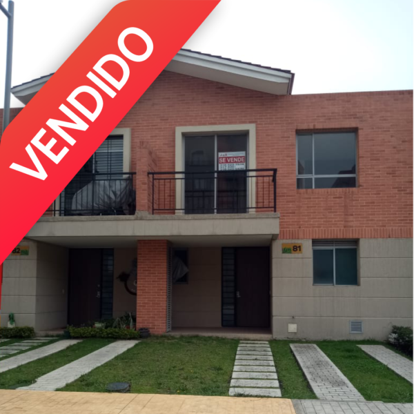 El roble vendido